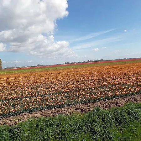 En Bike Sommelsdijk