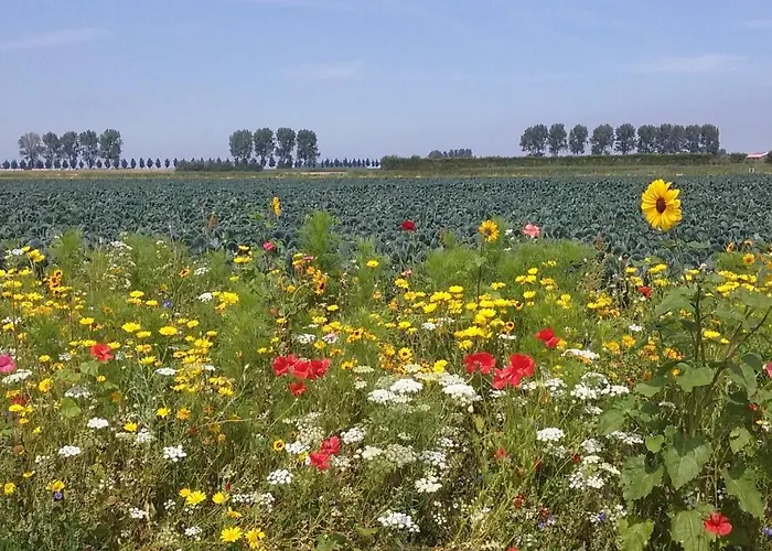 En Bike 住宿加早餐酒店 *