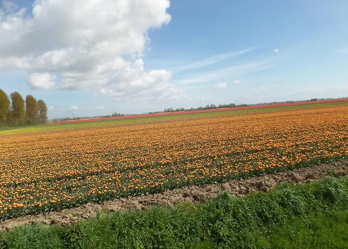 En Bike Bed & Breakfast Sommelsdijk