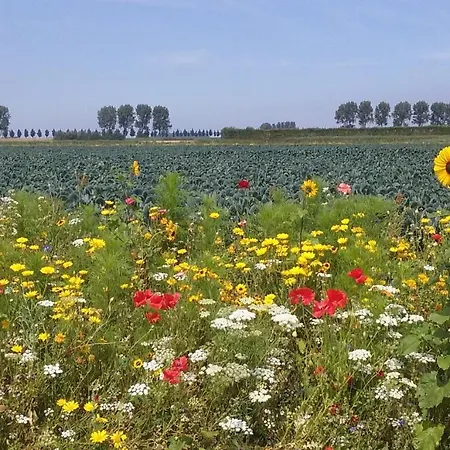 En Bike ベッド・アンド・ブレックファスト *