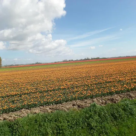 En Bike לינה וארוחת בוקר Sommelsdijk